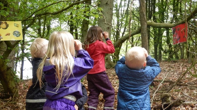 Børn i skoven