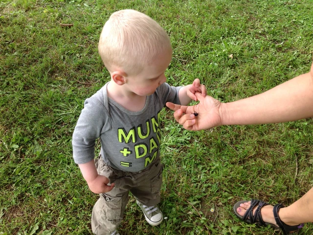 Dreng ser på en skarnbasse