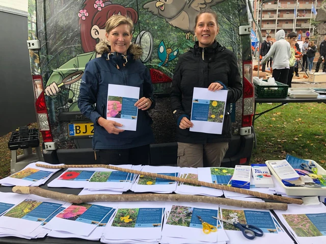 Postkort med vildeblomsterfrø