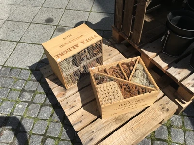 Insekthotel i gamle vinkasser