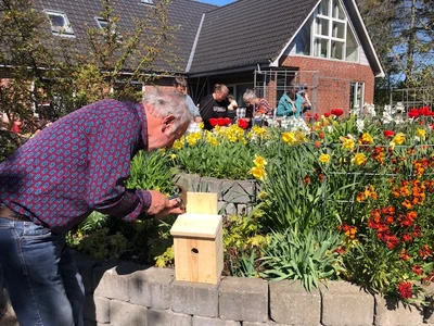 mand bygger fuglehus