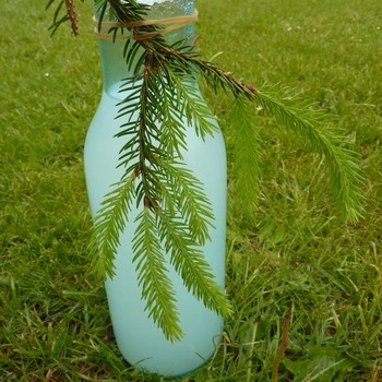 Grannålesaft