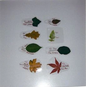 Billede af til og fra kort af blade