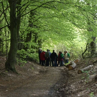 Gruppe af mennesker i en skov