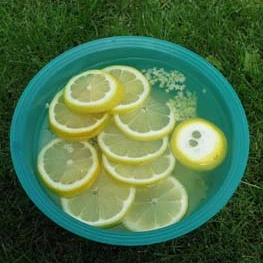 Hyldeblomstsaft i en spand