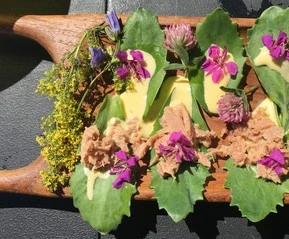 Sankthansurt og diverse