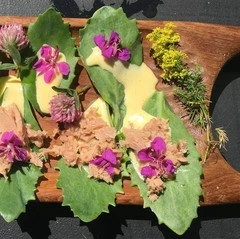 Tapas med sankthansurtblade