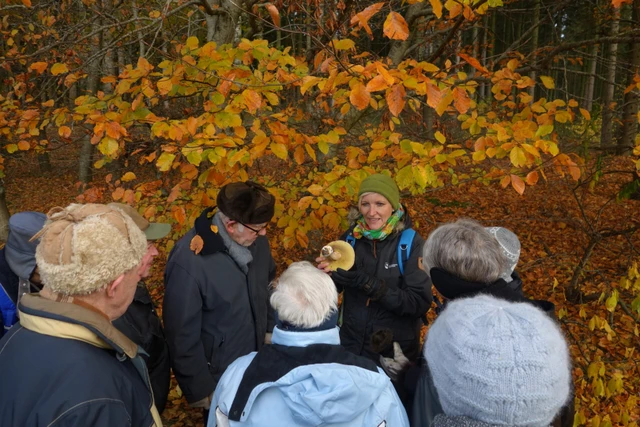 Billede af Karin, der er i skoven med "Aktiv i naturen for ensomme ældre"