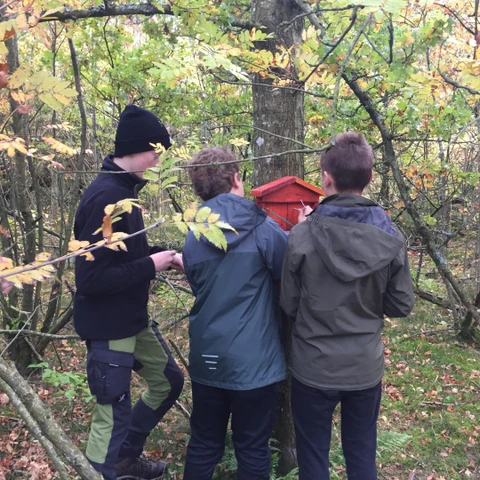 Nature Rangers ved kukkelure-kasserne i Uhrehøje Plantage
