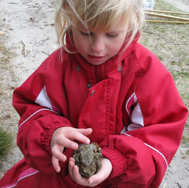 Billede af barn der holder en frø i sine hænder