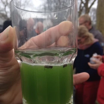 Grøn smoothie med orangemyrer