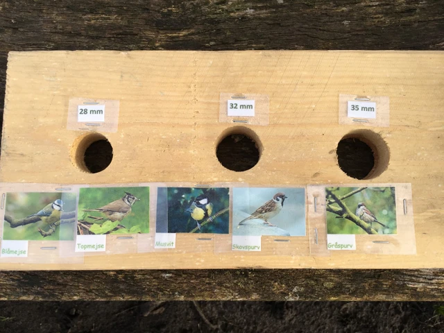 Forskellige huller til forskellige fugle i redekasser