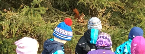 Billede af Børn i skoven