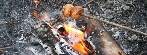 Billede af bål