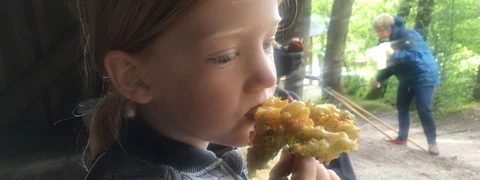 Billede af barn der smager på friturestegt hyldeblomst