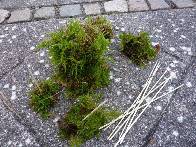 Billeder af materialer der skal bruges til en mosbamse