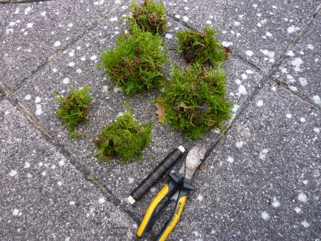 Billede af mos, tråd og tang der bruges til mosbamse