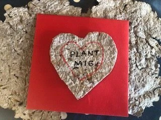 Billede lavet af hjerte af vilde frø