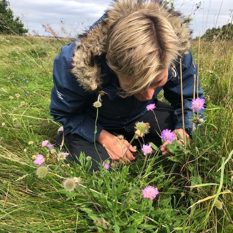 Billede af naturvejleder Karin Winther, der dufter til Blåhat