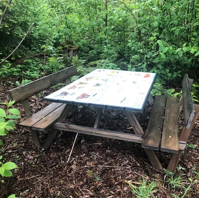 Billede af Krible krablebord i krible krableskoven