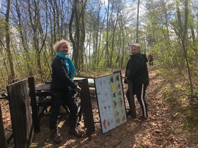 Billede af bord/bænksæt med formidling i krible krableskoven
