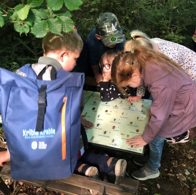 Billede af børn i krible krable skoven