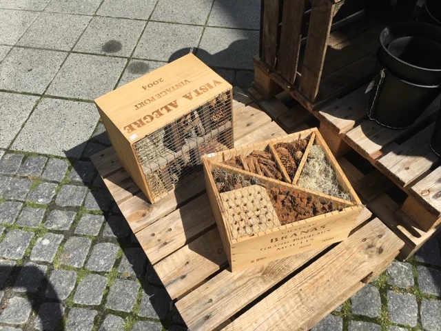 Billede af insekthoteller lavet i vinkasser