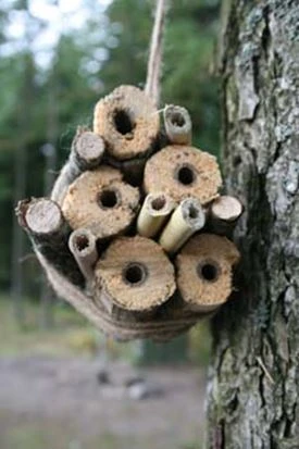 Billede af insekthotel med pinde