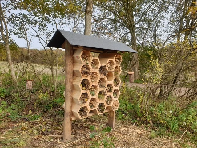Billede af insekthotel i Aars skov