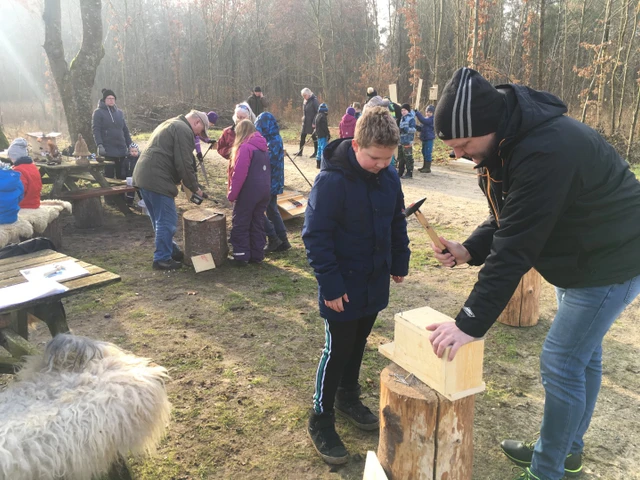 Billede af der bygges fuglekasser i skoven