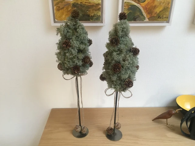 Billede af juletræer af rensdyrlav