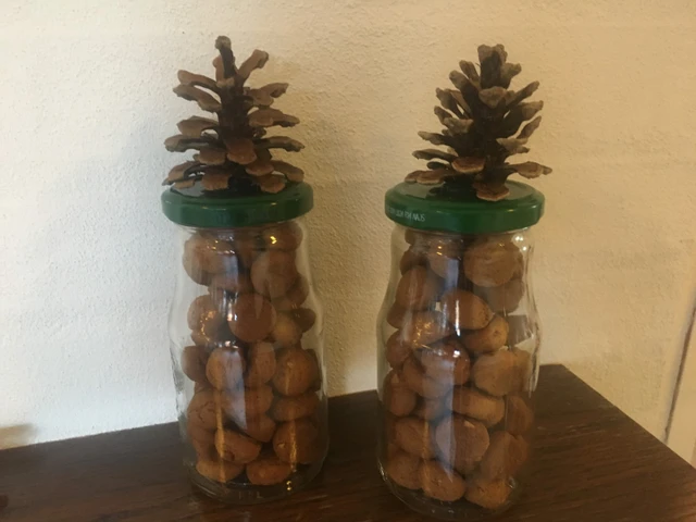 Billede af glas med juletræer af kogler