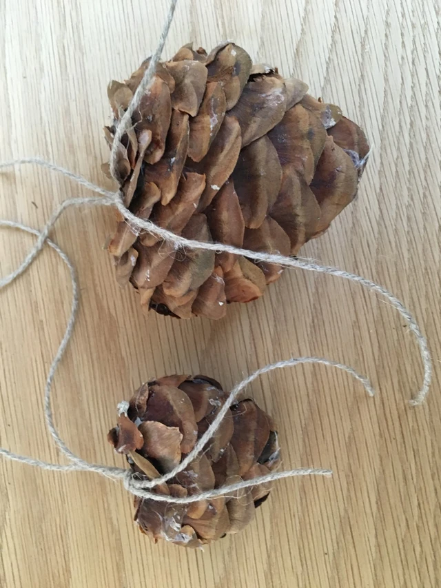 Billede af hjerter af frøskaller