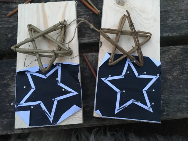 Billede af julestjerner af pil