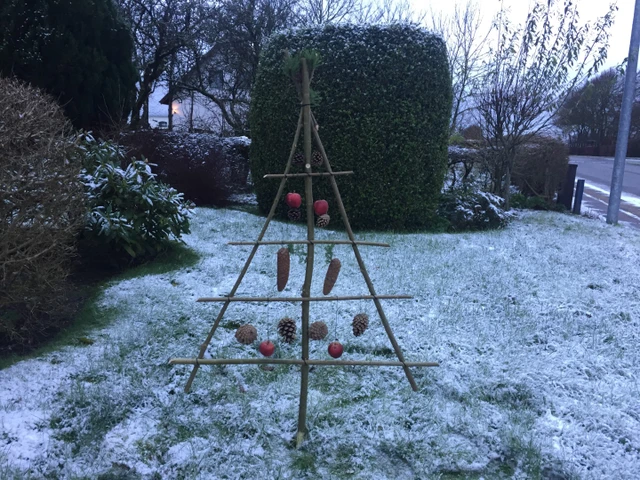 Billede af fuglejuletræ