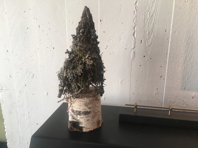 Billede af mosjuletræ