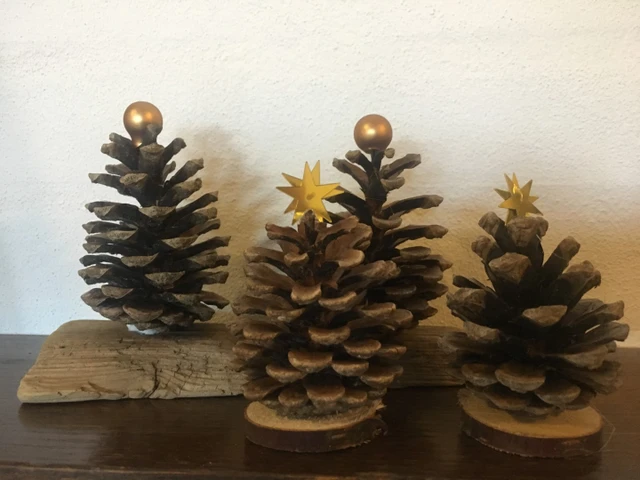 Billede af grankogle juletræer