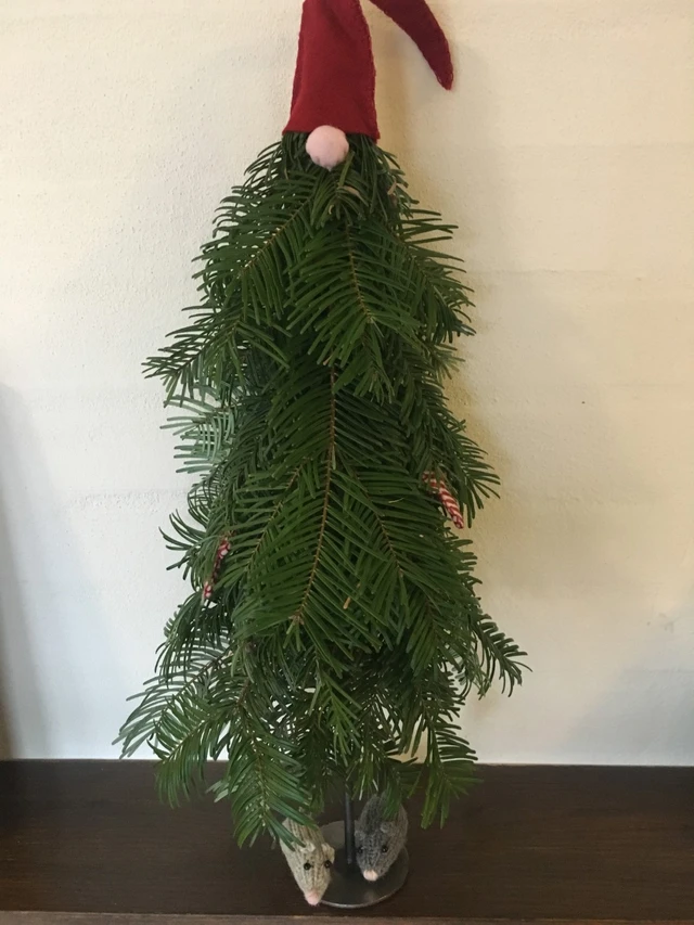 Billede af grannisse