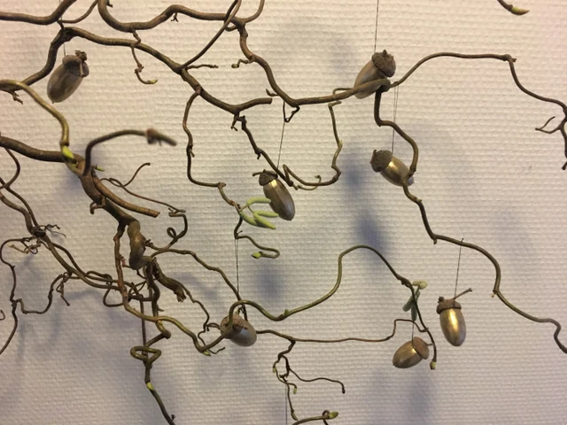 Billede af Guldnødder