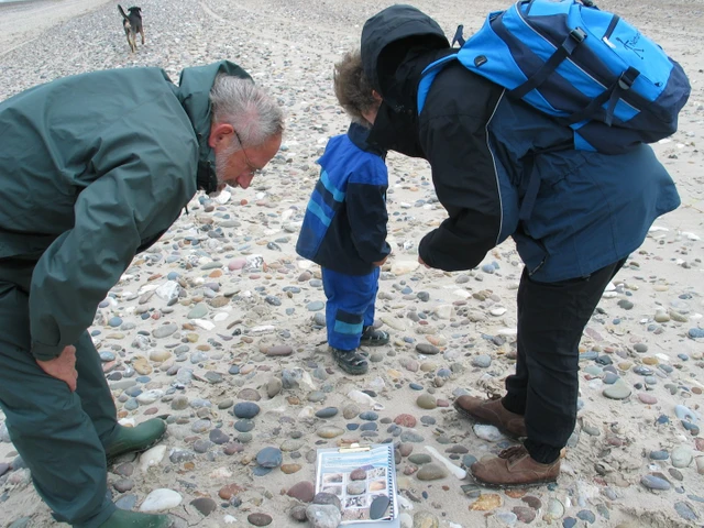 Billede af familie der spiller stenbingo på stranden