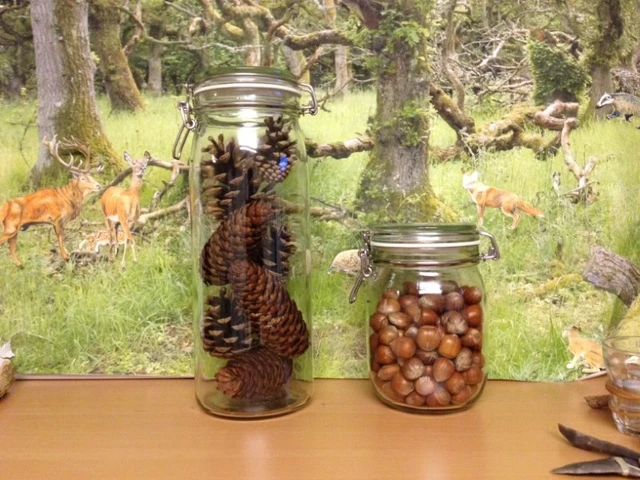 Billede af sylteglas med kogler og nødder i