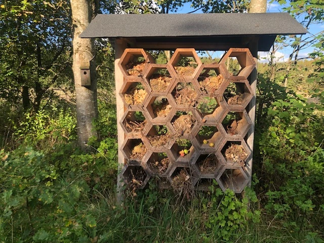 Billede af insekthotel i Aars skov