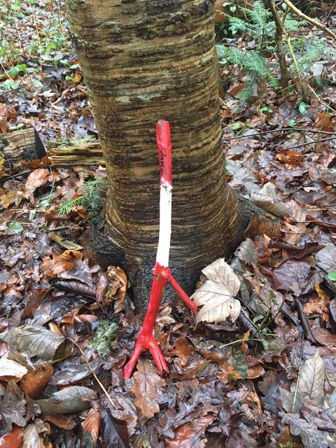 Nisse lavet på en pind, der står op af et træ ude i skoven