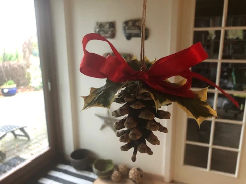 Grankogle pyntet med kristtjørn