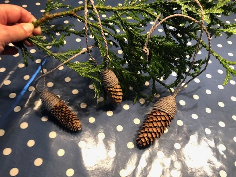 Kogler der er pyntet med bindebånd