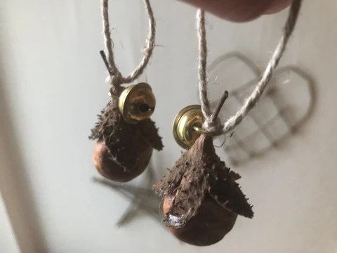 Kastanje limet ind i kapsel fra bøg