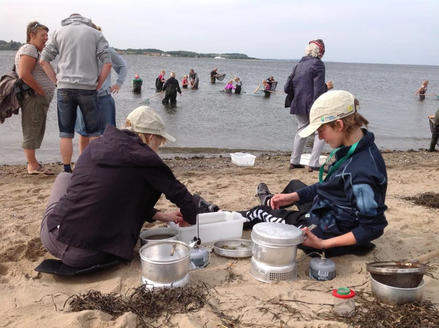 Billede af folk på stranden der koger rejer