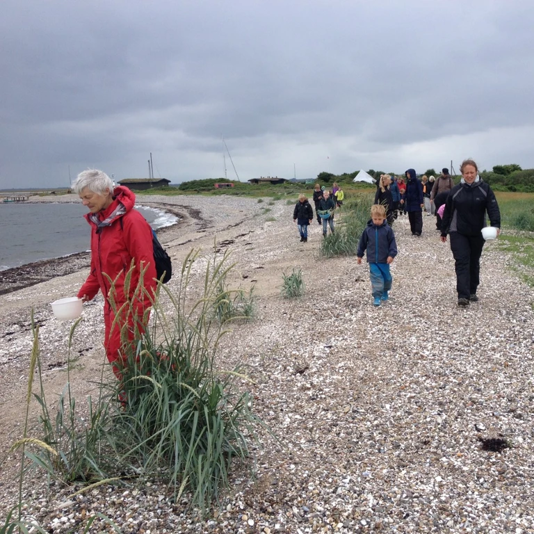 Billede af folk der samler sten på stranden