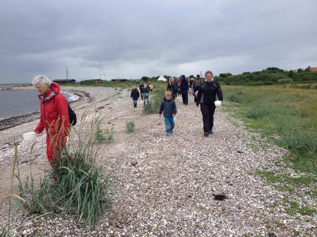 Billede af folk der samler sten på stranden
