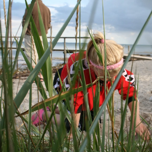 Billede af børn der bygger i sandet på stranden
